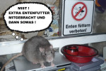 BalouKlein.jpg